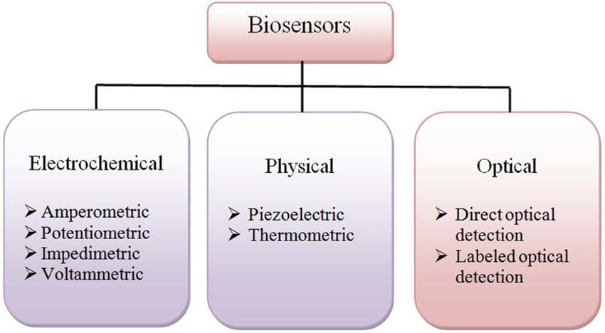 Types of biosensors based on their transducer operation.  